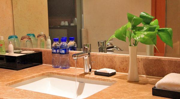時下酒店最出彩的就是浴室，現代空間為我們激發了關于浴室的幻想26 / 作者:123456790 / 帖子ID:123