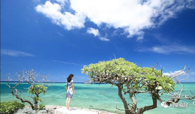 日本旅游攻略系列之沖繩，看這一個就夠了100 / 作者:顺势而为47 / 帖子ID:284