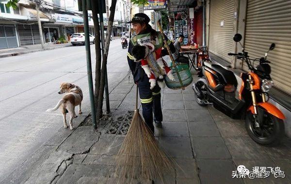 遵守承諾，背狗掃街，泰國正妹清潔工一夜爆紅26 / 作者:乔微博 / 帖子ID:356